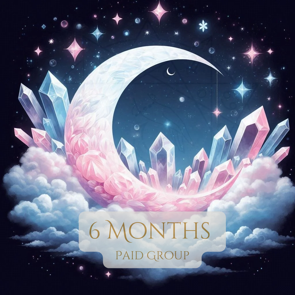 Paid Group (6 Months)