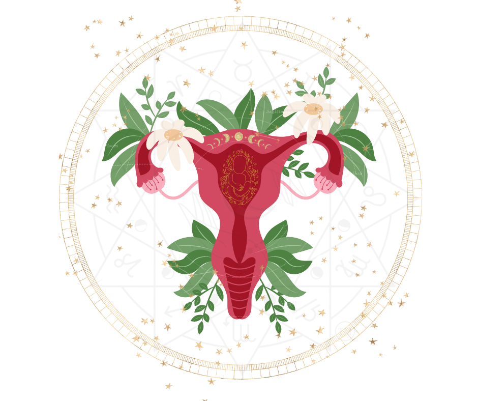 Fertility & Preconception Wellness with The Lunar Method®